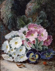 Naturaleza muerta de prímulas y pensamientos. Pintura de Oliver Clare (hacia 1853-1927) Colección particular.