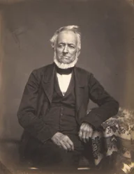Retrato de un caballero de pelo blanco