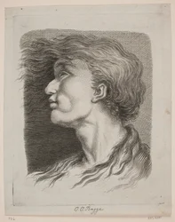 Retrato de hombre con cabello ondeante
