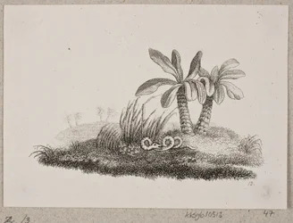 La serpiente