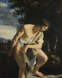 David