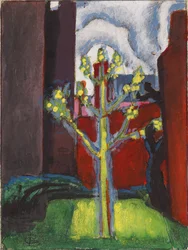 Árbol joven en patio rojo