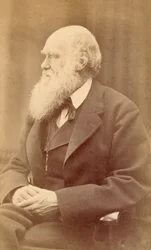 Retrato de Charles Darwin a los 72 años, c.1871