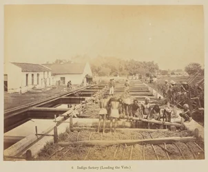 Fábrica de añil (cargando las cubas)