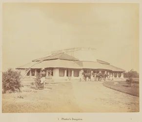 Bungalow del plantador