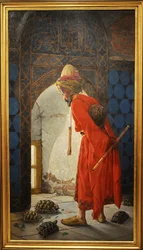 El entrenador de tortugas