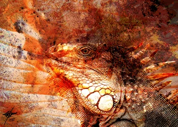 Retrato de una iguana ardiente
