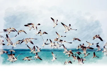 Gaviotas sobre el mar turquesa