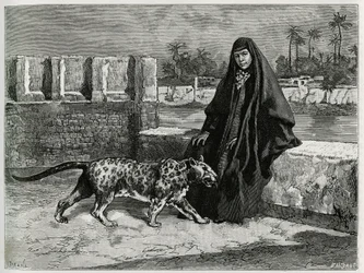 Torkan Khanoum, favorita del jeque Moses, poderoso jefe tribal de Arabistán, con su pantera. Grabado de Tofani para ilustrar el relato «Persia, Caldea y Susiana»