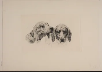 Danés: Dos cabezas de perro