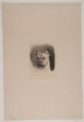 Cabeza de perro