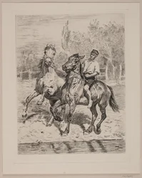 Los caballos beben agua