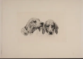 Dos cabezas de perro