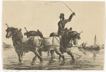 Tres caballos de tiro en el agua