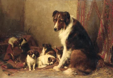 Un collie con sus cachorros