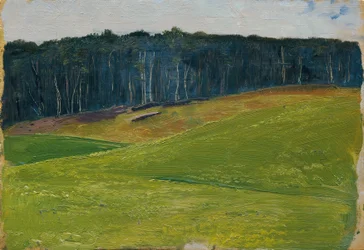 Prado verde claro contra bosque oscuro lisière