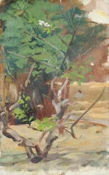 Árbol joven ramificado con dos flores