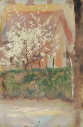 Árbol de flores blancas en el patio delantero