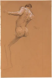 Desnudo Masculino de Pie desde Atrás