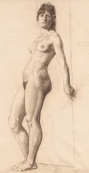 Modelo desnudo de pie
