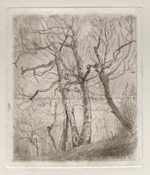 Árboles, 1878