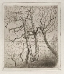 Bosques junto al lago, 1878.