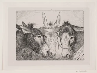 Tres cabezas de burro