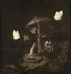 Un "sotto bosco" con setas, mariposas, una libélula, una serpiente y un lagarto (óleo sobre lienzo)