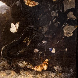 Serpientes, sapos y mariposas