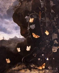 Serpientes, sapos y mariposas