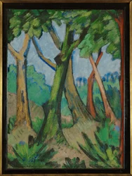 Bosque ...