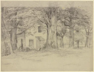 Casa detrás de los árboles