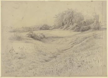 Paisaje forestal cerca de Kronberg
