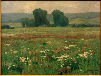 Álamos en pradera floreciente