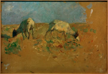 Cabras