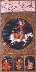 SUF. TURE 242 Aries