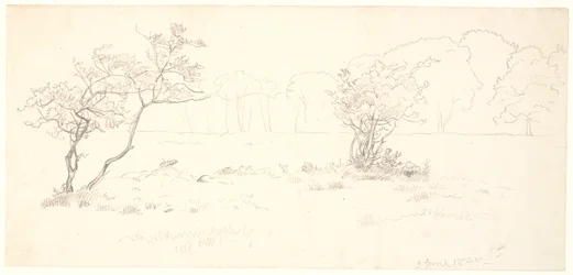 Desde la llanura de Eremitagesletten en Dyrehaven