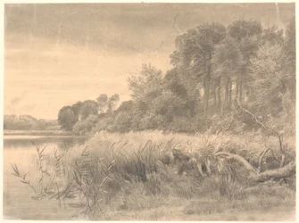 Paisaje con un lago forestal. Lago Gurre.