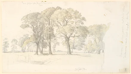 Parte de Jægersborg Dyrehave con árboles aislados