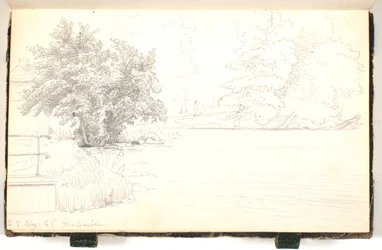 Paisaje forestal junto a un lago