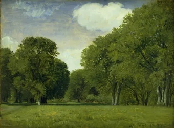 El parque de los ciervos. Estudio