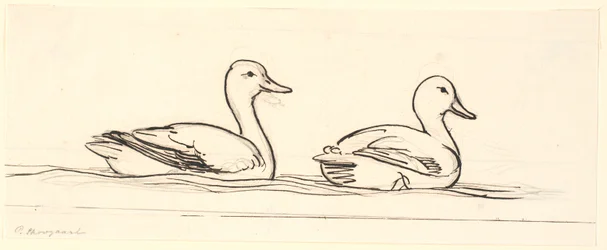 Dos patos. Boceto decorativo.