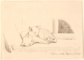 Dos gatos durmiendo