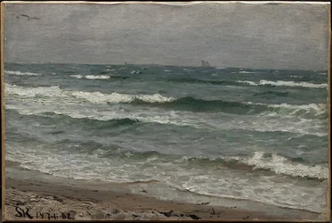 Paisaje marino. Skagen