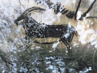 Cabra o Gamuza, pintura rupestre en la Sala Negra, Magdaleniense (pintura rupestre)