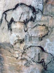 Bisonte herido, Magdaleniense (pintura rupestre)