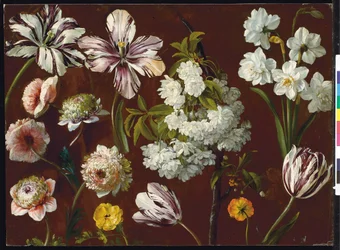 Tulipanes morados, prunus blanco floreciente, narcisos y crisantemo rosa