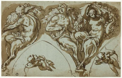 Estudio para decoración de tímpano con sátira, sátiros y putti (anverso); cabeza de putti (reverso)