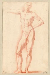 Un desnudo masculino (tiza roja)