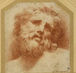 Cabeza barbuda, mirando hacia arriba (posiblemente Laocoonte)